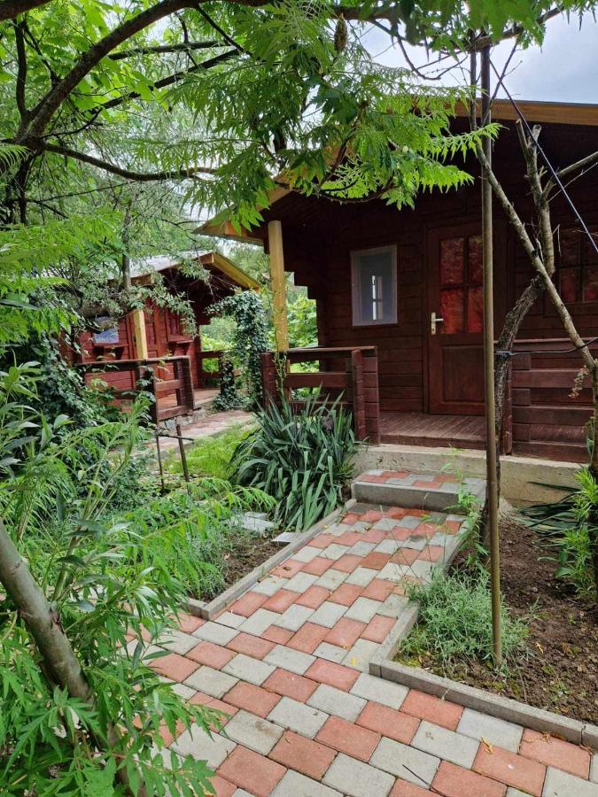 Hotel Casa Jan B. Lorau Zewnętrze zdjęcie